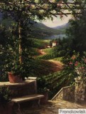Click to View Chianti Vineyard